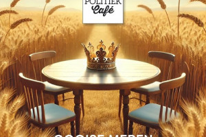 Politiek Café in deMess