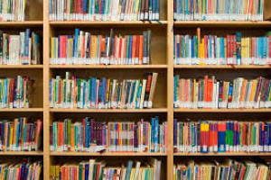Bibliotheken medicijn tegen laaggeletterdheid